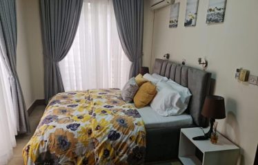 2 Bedroom furnished flat available at parkview estate