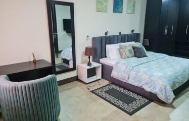 2 Bedroom furnished flat available at parkview estate