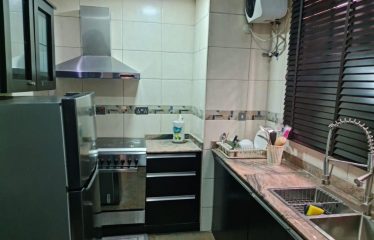 2 Bedroom furnished flat available at parkview estate